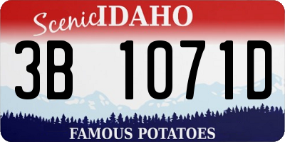 ID license plate 3B1071D