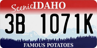 ID license plate 3B1071K