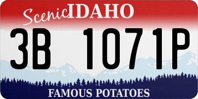 ID license plate 3B1071P
