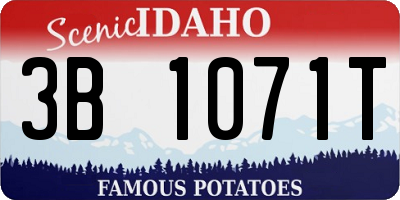 ID license plate 3B1071T