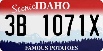 ID license plate 3B1071X