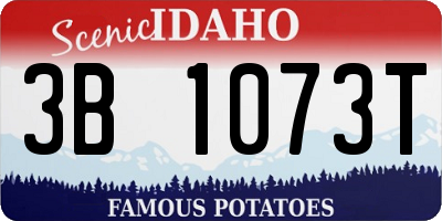 ID license plate 3B1073T