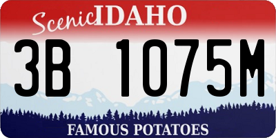 ID license plate 3B1075M