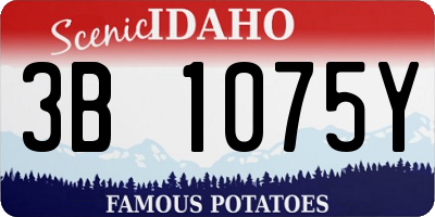 ID license plate 3B1075Y