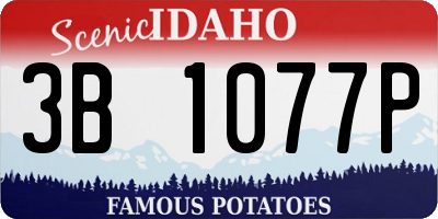 ID license plate 3B1077P