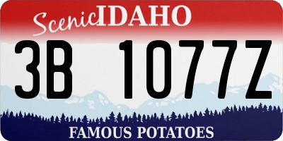 ID license plate 3B1077Z