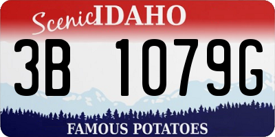 ID license plate 3B1079G