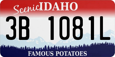 ID license plate 3B1081L
