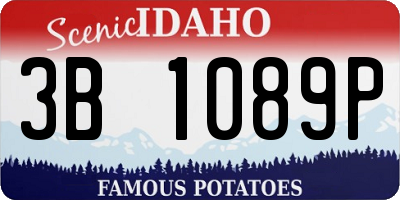 ID license plate 3B1089P
