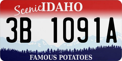 ID license plate 3B1091A