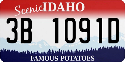 ID license plate 3B1091D