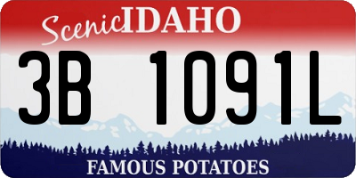 ID license plate 3B1091L