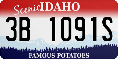 ID license plate 3B1091S