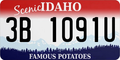 ID license plate 3B1091U