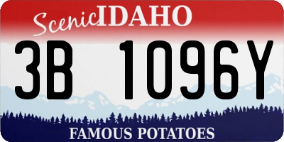 ID license plate 3B1096Y