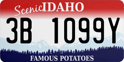 ID license plate 3B1099Y