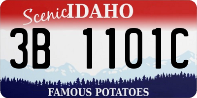 ID license plate 3B1101C