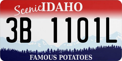 ID license plate 3B1101L