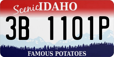 ID license plate 3B1101P