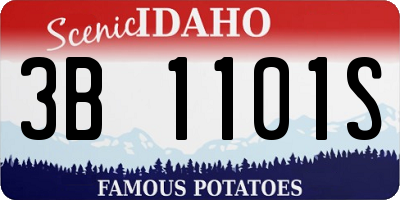 ID license plate 3B1101S