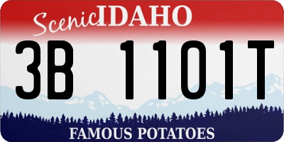 ID license plate 3B1101T