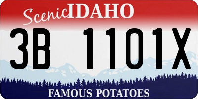 ID license plate 3B1101X