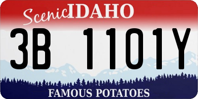 ID license plate 3B1101Y