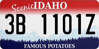 ID license plate 3B1101Z