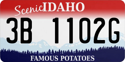 ID license plate 3B1102G