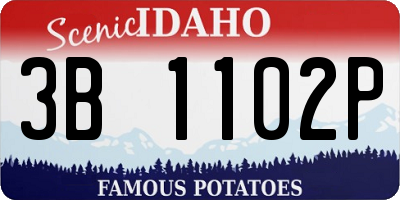 ID license plate 3B1102P