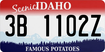 ID license plate 3B1102Z