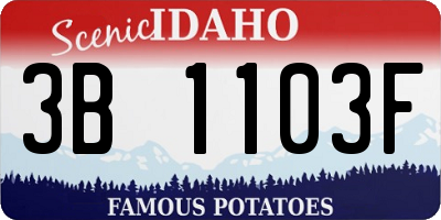 ID license plate 3B1103F