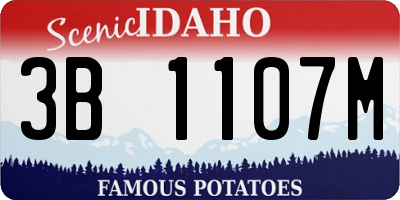 ID license plate 3B1107M