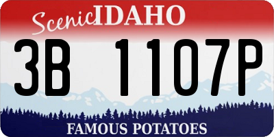 ID license plate 3B1107P