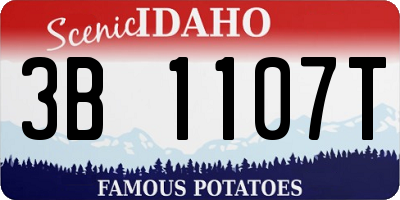 ID license plate 3B1107T