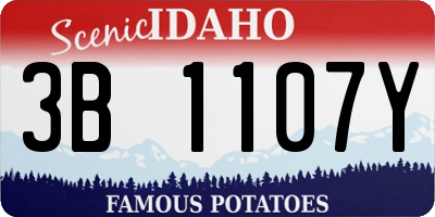 ID license plate 3B1107Y