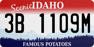 ID license plate 3B1109M