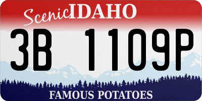 ID license plate 3B1109P