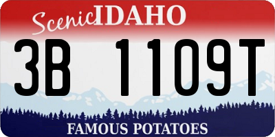 ID license plate 3B1109T