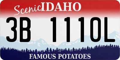ID license plate 3B1110L
