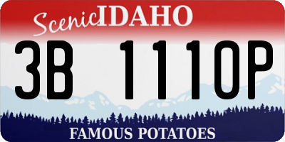 ID license plate 3B1110P