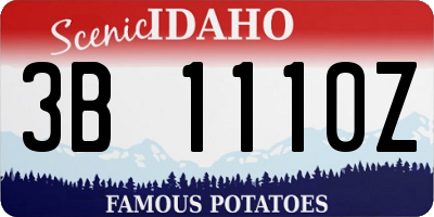 ID license plate 3B1110Z