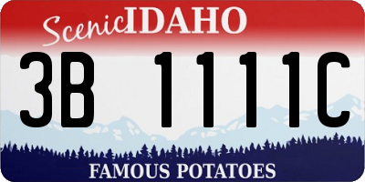 ID license plate 3B1111C