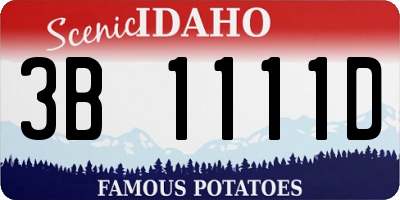 ID license plate 3B1111D