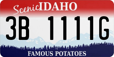 ID license plate 3B1111G
