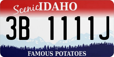 ID license plate 3B1111J