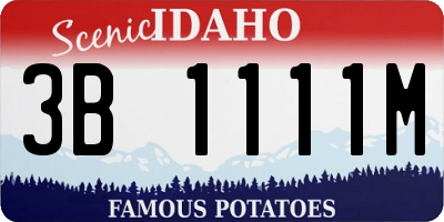 ID license plate 3B1111M