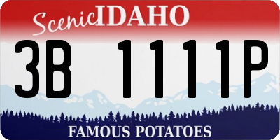 ID license plate 3B1111P