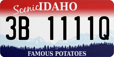 ID license plate 3B1111Q