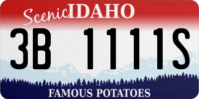 ID license plate 3B1111S